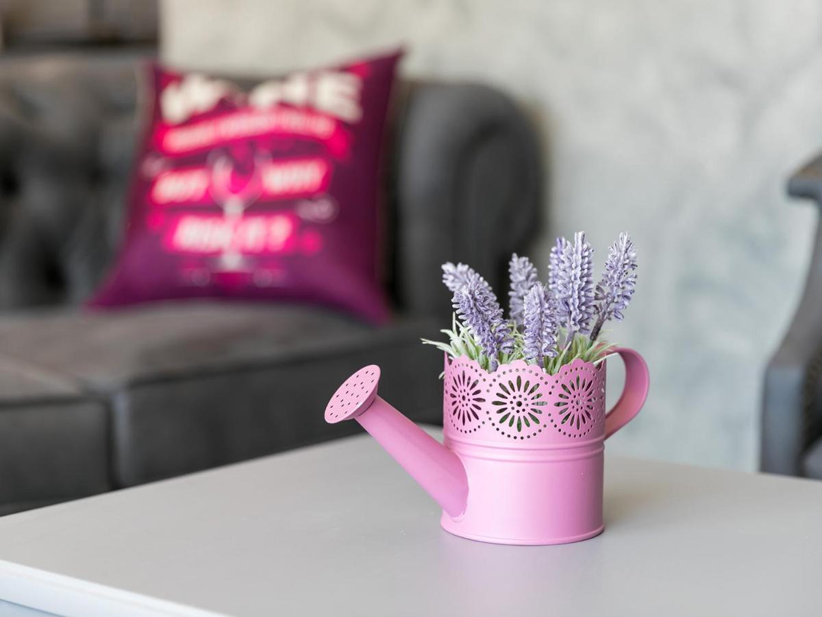 Villa Lavanda Nova Vas  Zewnętrze zdjęcie